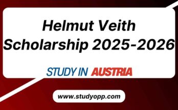 Helmut Veith Scholarship