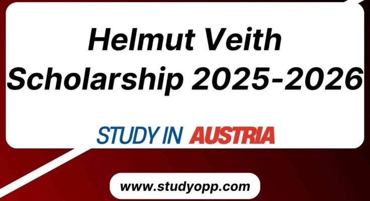 Helmut Veith Scholarship