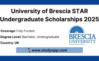 STAR Undergraduate Scholarships