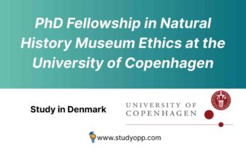 PhD Fellowship