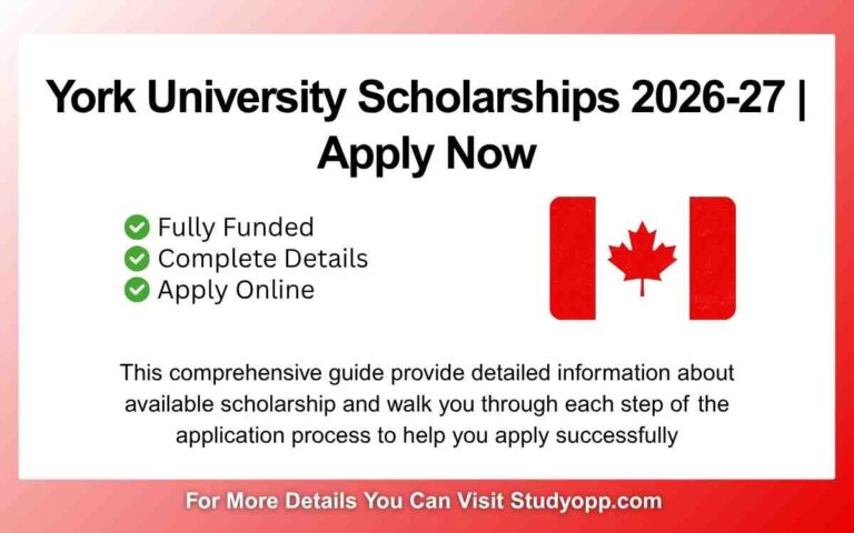 York University Scholarships